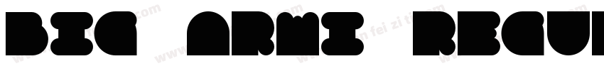 Big Armi Regular字体转换